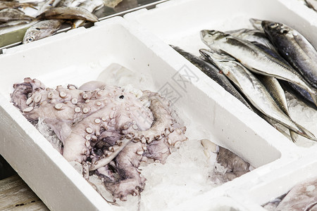 市场中的新鲜鱼贝类餐厅营养动物生活钓鱼食物柠檬盐水海鲜寒冷的高清图片素材