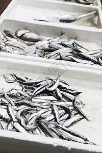 市场中的新鲜鱼餐厅柠檬烹饪营养街道动物美食贝类海洋钓鱼寒冷的高清图片素材