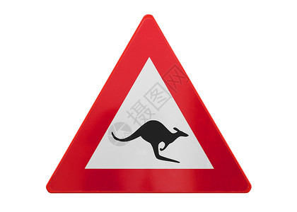 隔离交通标志     袋鼠木板安全白色对角线红色路标三角形警告危险注意力背景图片