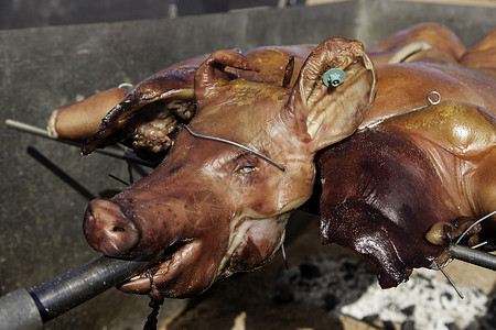 全猪宴用火和木炭煮的全烤猪肉美食庆典烘烤厨房动物火腿宴会炙烤午餐烹饪背景