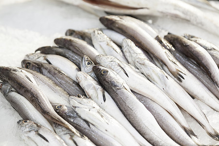 市场上的新鲜鱼美味店铺营养团体钓鱼餐厅饮食动物食物海洋肉高清图片素材