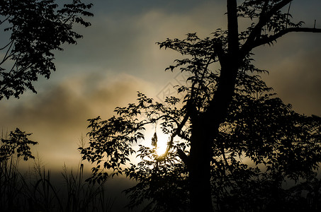 太阳升起前的清晨天空风景日出金子橙子日落农村场景背景图片