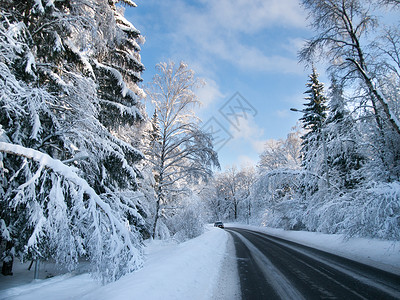 森林中的冬季道路天空季节蓝色荒野晴天白色背景图片