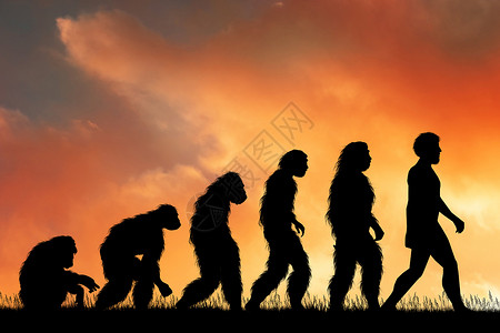 人类进化的例证背景图片