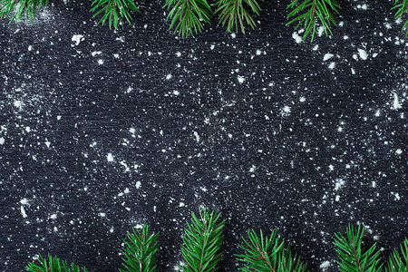 冬季雪花上的圣诞树枝 黑色空间背草背景图片
