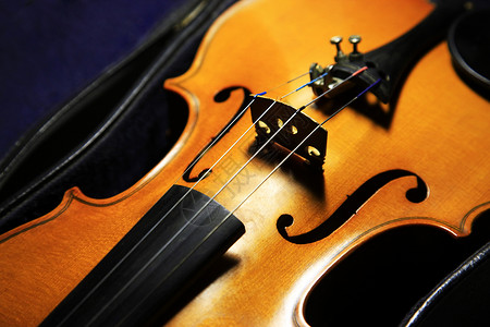 老小提琴流行音乐会工艺教育艺术信息权限黑色大提琴背景风格背景图片