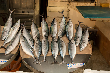 鱼市场上出售的新鲜鱼营养食物海洋海鲜钓鱼盐水健康餐厅抓住高清图片素材