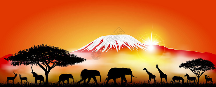 鳄鱼山火山乞力马扎罗山背景上的草原动物牧场山峰火山旅游天空辐射太阳光插图晴天雪峰设计图片