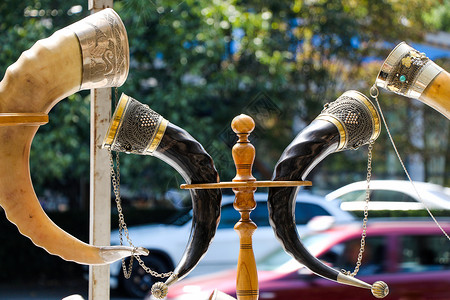 传统装饰多彩带金属的装饰型角水牛青铜历史黄铜管道纪念品音乐猎人海盗乐器背景图片