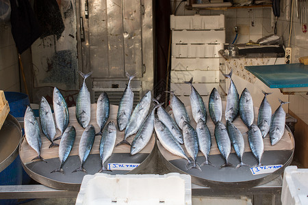 鱼市场上出售的新鲜鱼食物海鲜钓鱼餐厅盐水海洋健康营养新鲜的高清图片素材