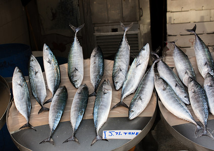 鱼市场上出售的新鲜鱼海鲜食物海洋营养钓鱼健康餐厅盐水自然高清图片素材