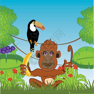 绿丛林和香蕉猿 Victor 插图背景图片