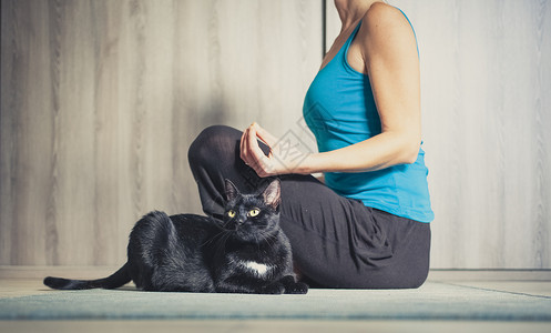 手绘瑜伽素材女人在家做瑜伽  黑猫坐在她旁边手绘专注女士公寓女性福利体操身体卡通片娱乐背景