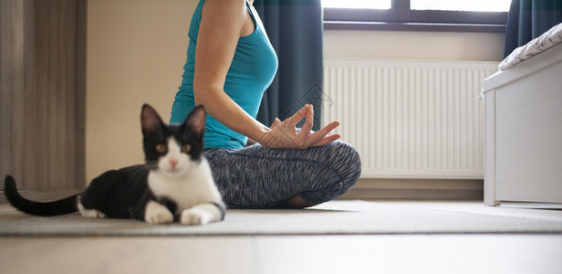 手绘瑜伽素材女人在家做瑜伽  黑猫坐在她旁边涂鸦卡通片训练体操宠物活动身体娱乐手绘运动背景