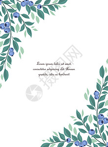 蓝莓果的背景小册子商业艺术装饰菜单叶子植物框架食物甜点背景图片