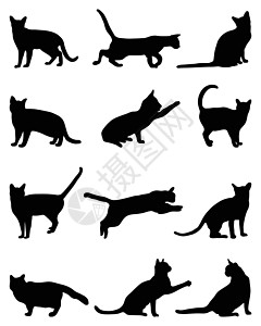 各种各样猫猫的剪影跳跃团体草图插图小猫尾巴动物爪子收藏卡通片设计图片