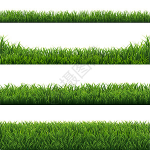 草地边框素材绿草边框设置白色背景插画