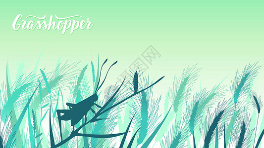 微距拍摄甲虫蚱蜢坐在灌木丛插图中的一片草叶上 野生插图中昆虫的生活 美容宏观世界设计插画