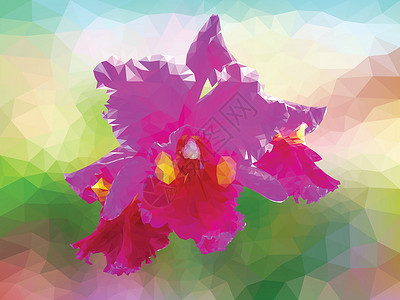 多边形矢量兰花紫色植物粉色三角形插图马赛克创造力艺术几何墙纸背景图片