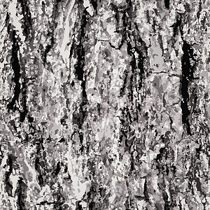 老树皮素材具有无缝背景的纹理树皮形状植物粮食橡木木头装饰墙纸风格插图插画