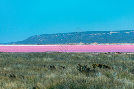 西澳大利亚州平克湖 格雷戈里因幻影而变形高清图片