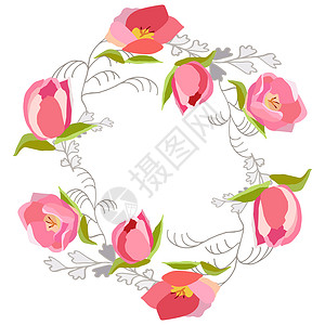 圆园装饰着粉红色的郁金香手绘粉色框架植物学植物设计白色元素草本植物草本背景图片