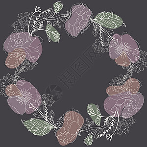 圆园装饰着玫瑰元素草地植物学草本植物框架草本插图收藏设计植物背景图片