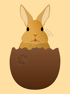 巧克力蛋中的兔子背景图片