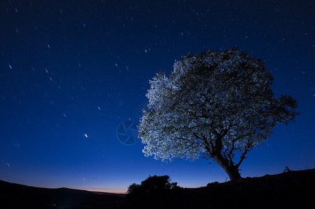 夜景 橡树 星星 云彩 轮光森林场地孤独荒野月亮月光牧场国家天空光绘背景图片