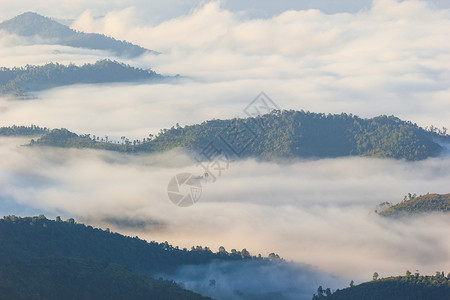 雾在清晨沿着山上行走 阳光在太阳中高清图片