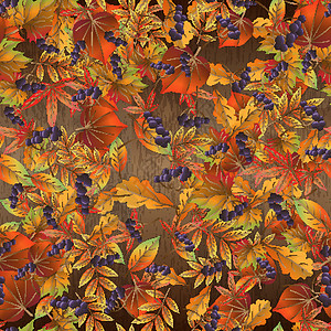 木板上有五颜六色的秋叶的无缝图案 矢量图背景图片