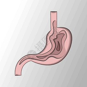 幽门螺杆菌胃剪纸风格 人体内部器官符号 消化系统解剖设计图片