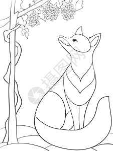 狐狸葡萄成人着色书 页面上有可爱的狐狸形象供放松活动曲线涂鸦树叶动物群染色水果花瓣艺术打印冥想插画