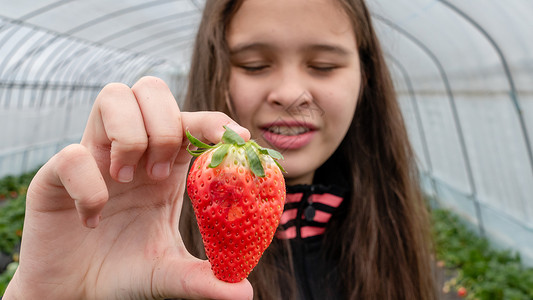 亚裔美国人女孩手持草莓童年青春期水果小吃酸奶孩子温室国人眼睛摘草莓背景图片