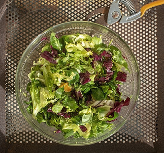 玻璃碗中的绿色和紫色混合沙拉午餐乡村美食饮食营养植物蔬菜食物盘子桌子番茄高清图片素材