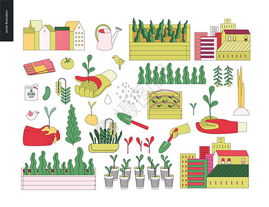 城市农业和园艺元素文化盒子加工苗床土壤水培法种子青菜发芽生长插画