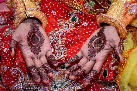 印度新娘武吉士棕榈高清图片
