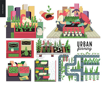 苗床城市农业和园艺系列插画