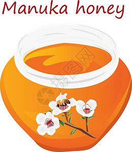 麦卢卡蜂蜜和麦卢卡早午餐芳香绘画植物学花园蜜蜂叶子保健蜂蜜卫生植物插画