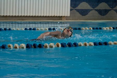 孩子们游自由式泳池 室内游泳池里有清蓝的水女性运动员行动女孩竞争竞赛水池运动孩子青年背景