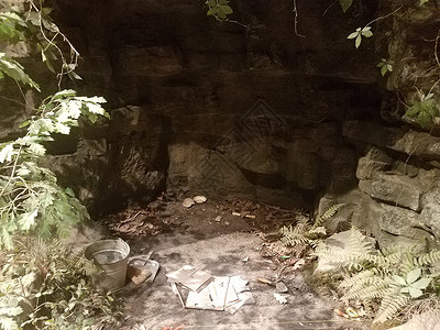 具有海龟壳和考古工具的洞穴考古学挖掘岩石贝壳石头植物科学背景图片