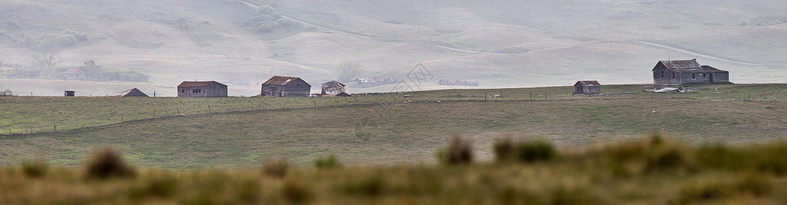 草原全景视图戏剧性地平线景观农村风景草地场景爬坡农业乡村背景图片