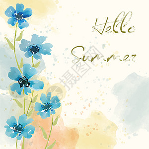 夏天你好 带花的水彩横幅海报卡片背景图片