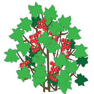 一价全含灌木的矢量插图 含成熟的黄莓红色卷心菜插画