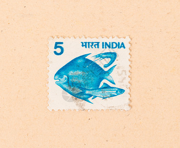 1970年 印度印有印章显示一些鱼类 例如鱼背景图片