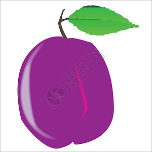 单孤立带绿叶和尾随紫色叶子艺术绘画水果卡通片采摘花纹艺术品漫画背景图片