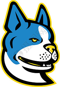 公牛队波士顿身份团队艺术品卡通片犬类体育猎犬插图学校标识插画