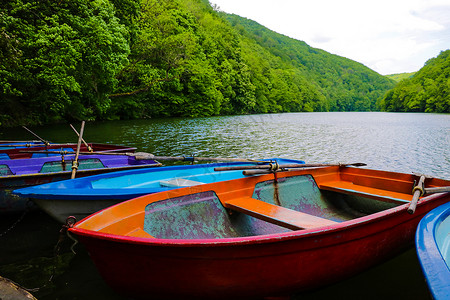 湖上的小游艇环绕着绿树林背景图片