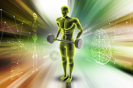 适合性概念身体二头肌肌肉运动员健身房男性成人健美哑铃数字背景图片
