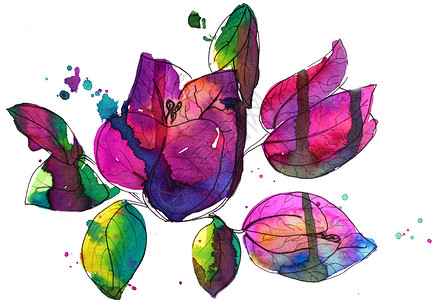 开花粉红色九重葛纸花的插图 水彩画修图植物学植物群艺术品美术植物艺术花束紫色叶子笔触背景图片